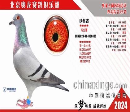 ���������ھ�