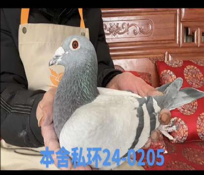 ˽�����ض�0205