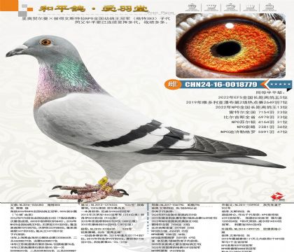 ��ºض������˵���˹������NPOȫ���׸����ھ��Ӵ�