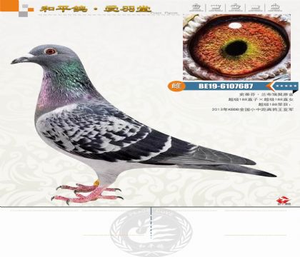 ��������ԭ�ᣬȫ���ٶȸ����Ǿ�������188��ֱ�ӡ�ֱŮ