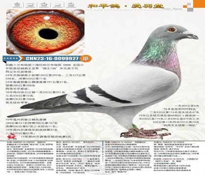 ��������Ѫϵ��ƽ������ͭ��С�������40����71��