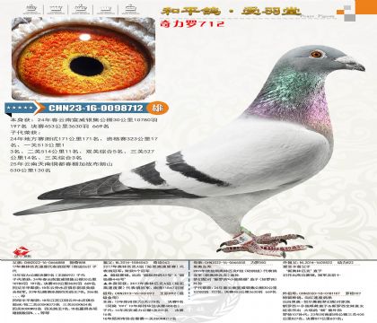 �漣�����±�����������669�����Ӵ������ۺϼ�����ͭ����λ��