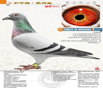 ��������ū��������������˹�������Ĺظ����Ǿ��Ӵ�