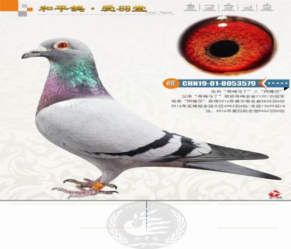 ��÷ȫʡ11301��ھ��Ӵ��Ǿ���ȫ��13629��14���Ӵ�