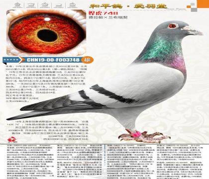 ������������������������˹����4������������ȫƽ��7��15��