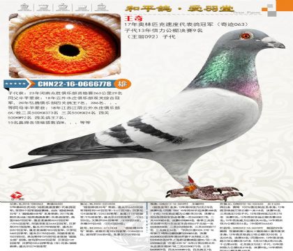 ����ƥ���ٶȴ�����ھ����漣063���Ӵ���������ĸ�����Ӵ�