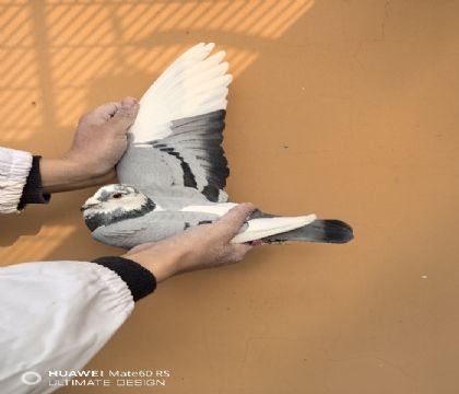 �ߴ����ǲ��˼���������������ǲ��ˡ������ء�����