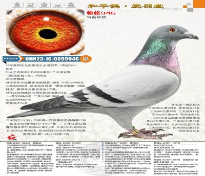 84-CHN2023-16-0099946