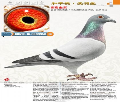 86-CHN2023-16-0099950