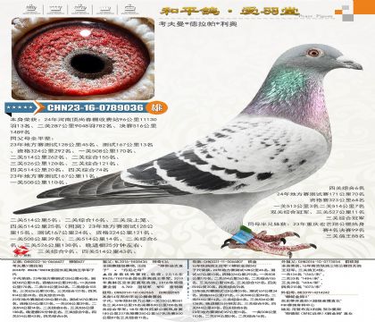 99-CHN2023-16-0789036