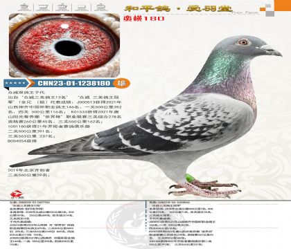 105-CHN2023-01-1238180