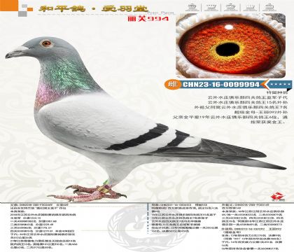 145-CHN2023-16-0099994