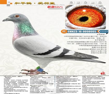 123-CHN2023-16-0098665