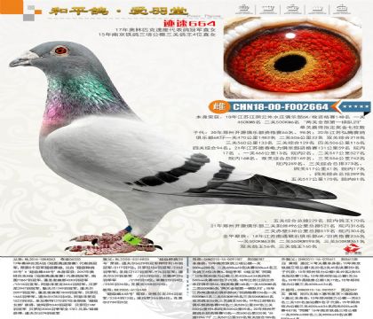 B62-CHN2018-00-F002664