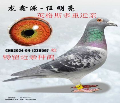 Ӣ��˹���ؽ���