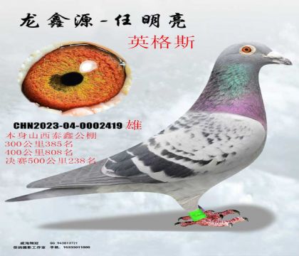 �عؿ�ɽ��̩�ι������238��Ӣ��˹