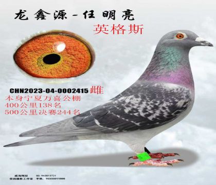 ������ϲ����400����138������244��Ӣ��˹