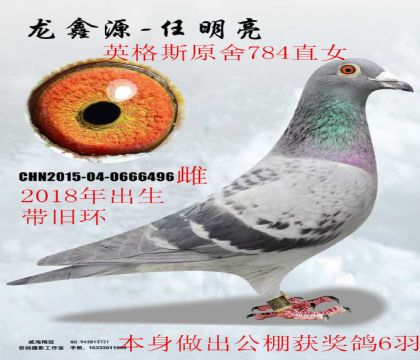 ��Ӣ��˹ԭ��784ֱŮ