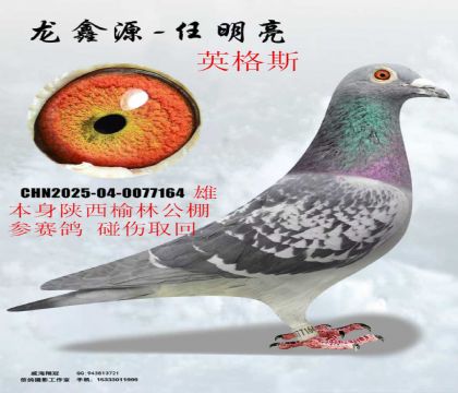 �������ֹ����˷Ѹ�Ӣ��˹