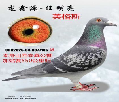 ɽ��̩�ι����վ��550�����Ӣ��˹