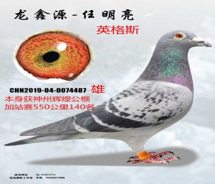 ���ݻԻͼ�վ��550����140��Ӣ��˹