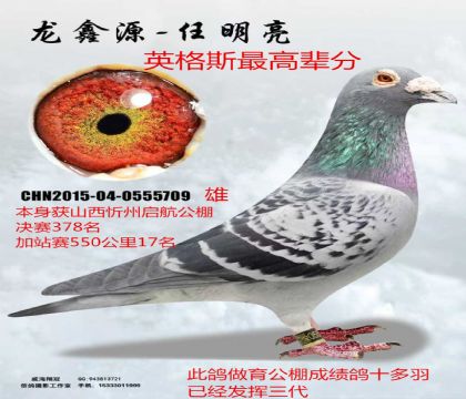 ��߱���Ӣ��˹ɽ��������վ��17��