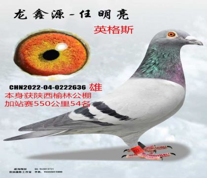 �������ֹ����վ��550����54��