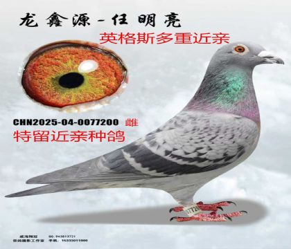 Ӣ��˹���ؽ���