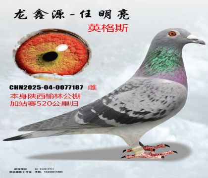 �������ֹ����վ����Ӣ��˹