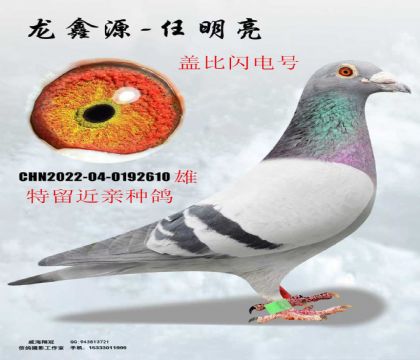 �Ǳ�����Ž���