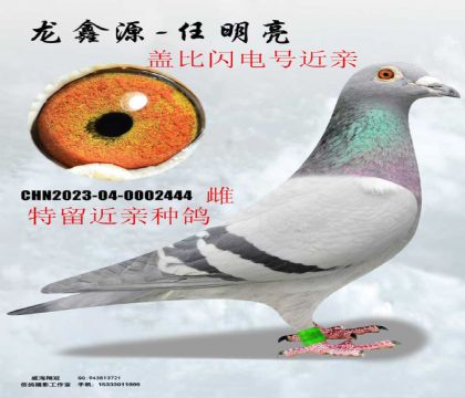 �Ǳ�����Ŷ��ؽ���