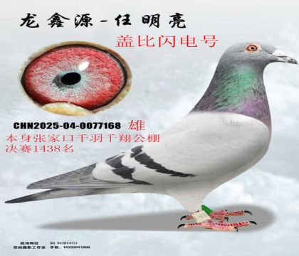 �żҿ�ǧ��ǧ�����1438���Ǳ������