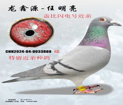 �Ǳ�����Ŷ��ؽ���