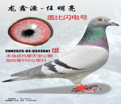 �����챦�����վ��550�����Ǳ������