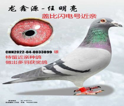 �Ǳ�����Ŷ��ؽ���