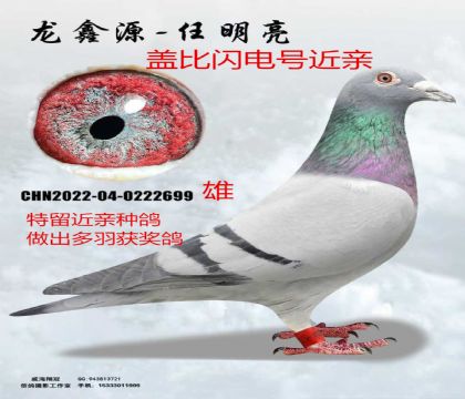 �Ǳ�����Ž���