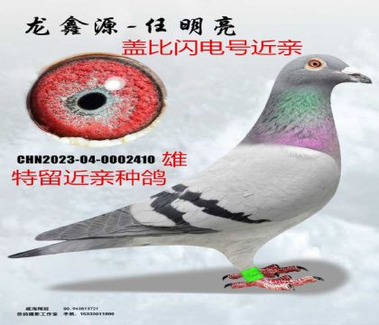 �Ǳ�����Ž���