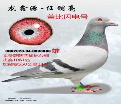 �������ֹ����վ��550����24���Ǳ������