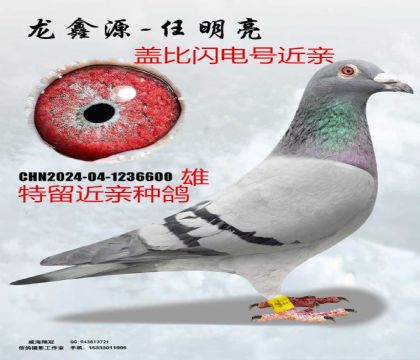 �Ǳ�����Ŷ��ؽ���