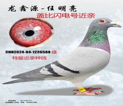 �Ǳ�����Ŷ��ؽ���