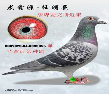 ղɭ���˹���ؽ���