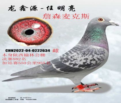 �������ֹ������882��ղɭ���˹