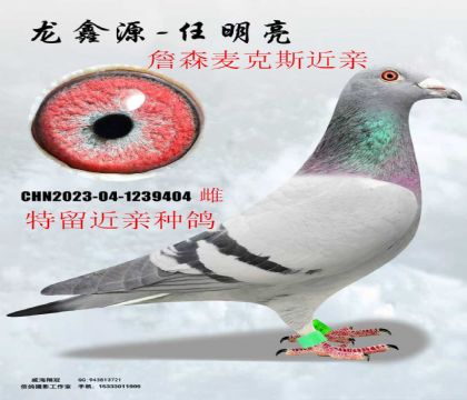 ղɭ���˹���ؽ���