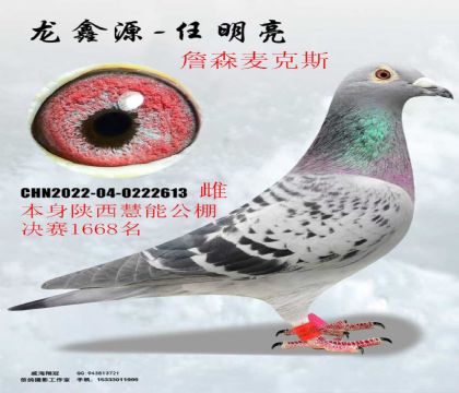 �������ܹ������1668��ղɭ���˹