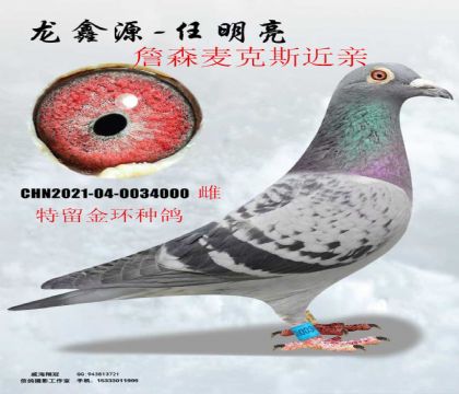 ��ղɭ���˹���ؽ���