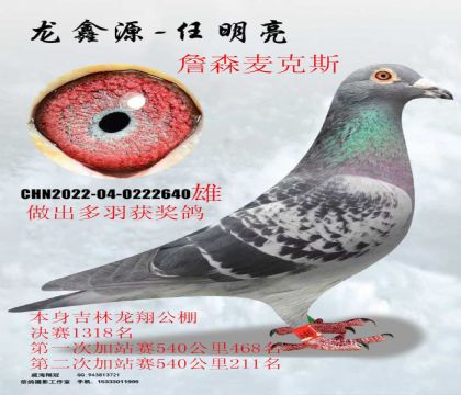 ����������μ�վ��211��ղɭ���˹