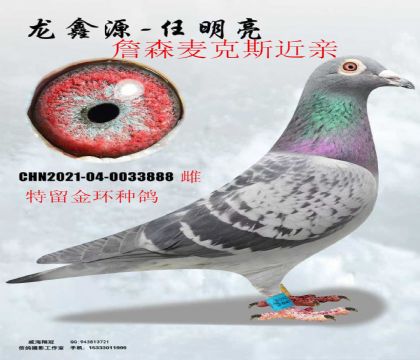 ��ղɭ���˹���ؽ���