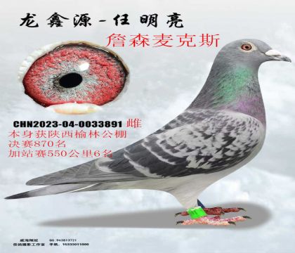 �������ֹ������վ��6��ղɭ���˹