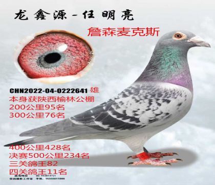 �عؿ��������ֹ����Ĺظ���11��ղɭ���˹