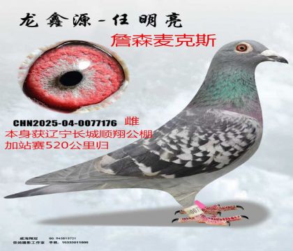 ��������˳�蹫���վ����ղɭ���˹